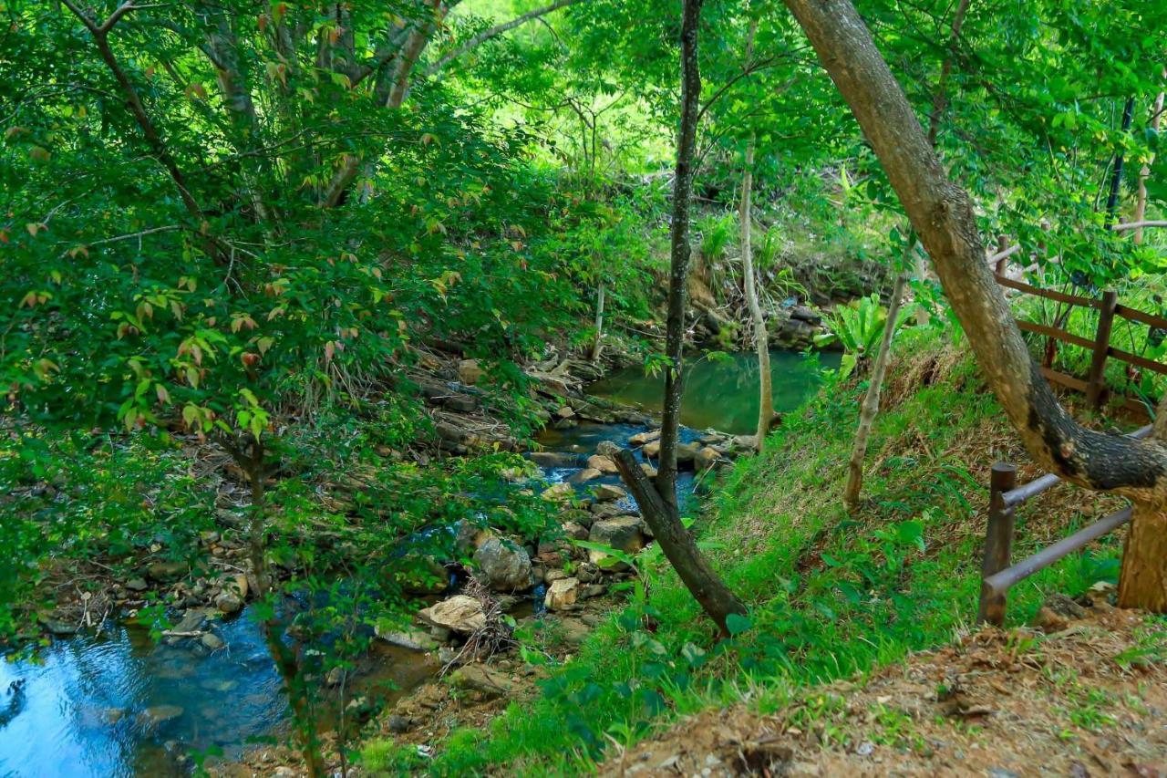 Doola River Edge Udawalawe Luaran gambar