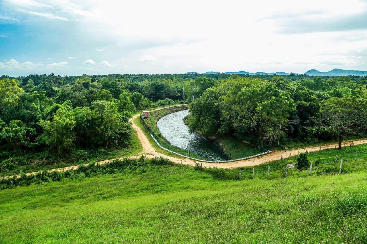 Doola River Edge Udawalawe Luaran gambar