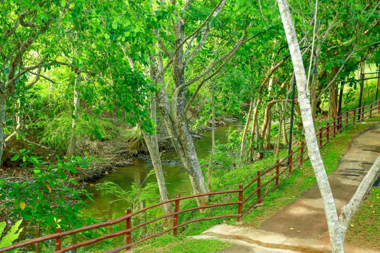 Doola River Edge Udawalawe Luaran gambar
